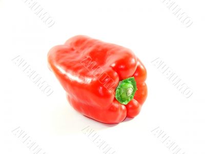 Red sweet pepper