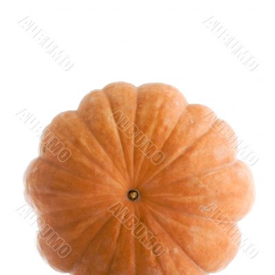 Pumpkin isolated on white