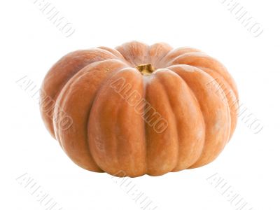 Pumpkin isolated on white