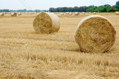 Haystacks