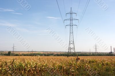 electricity
