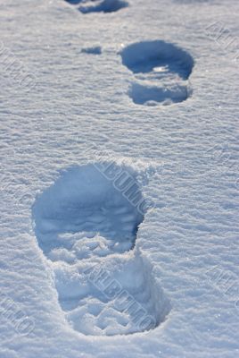 Footprint