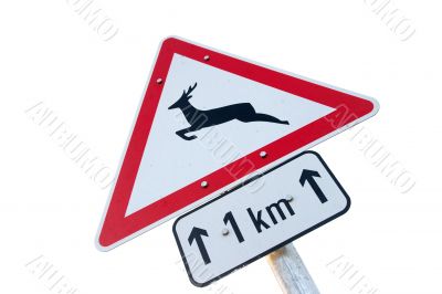 Deer warning