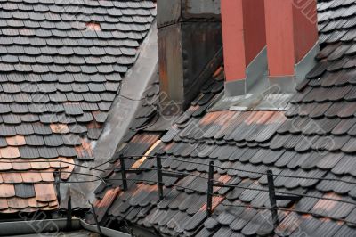 Roof