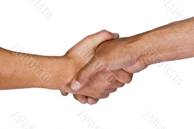 Handshake