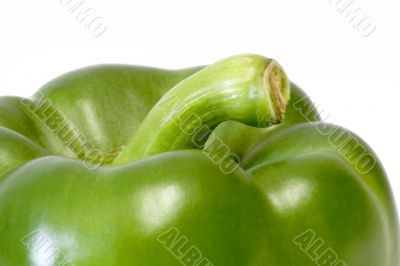 Paprika Stem