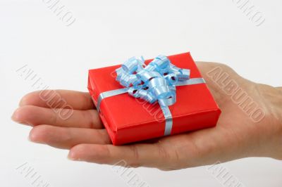Little Gift in a Hand