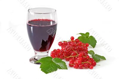 Black Currant Juice