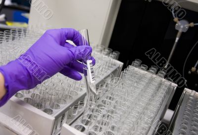 Checking the samples
