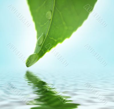 Reflecting spring