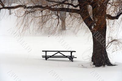 Picnic table in snow under a winter tree