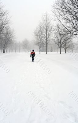 Man walking on a snowy path