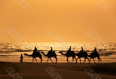 A silhoutte of a dromedary and Tourists