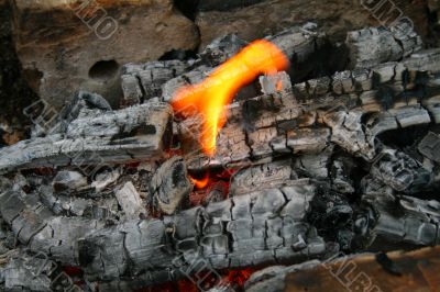Flame on charcoal