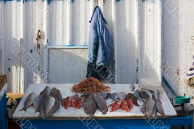 Fresh fish