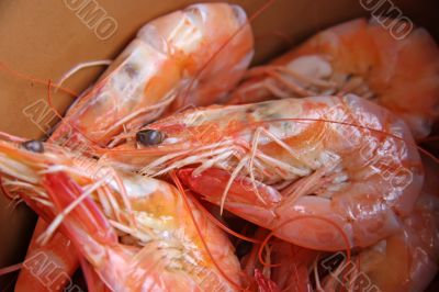 Whole cooked prawns