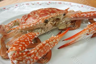 Cooked crab