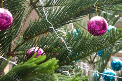 Christmas tree ornaments