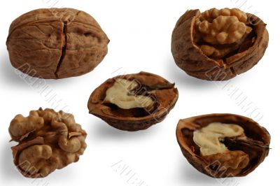 five cracked walnuts