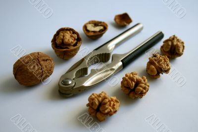 nutcracker with walnuts
