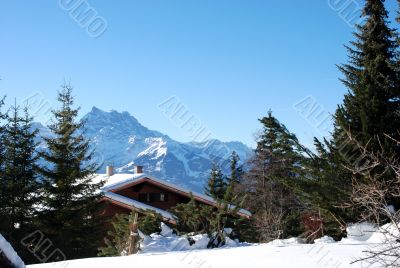 Winter in the alpes