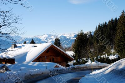 Winter