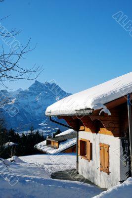 Winter