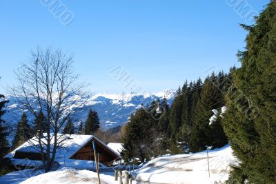 Winter