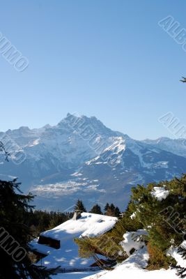 Mountain