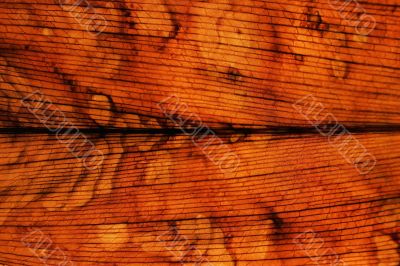 Dry leaf texture