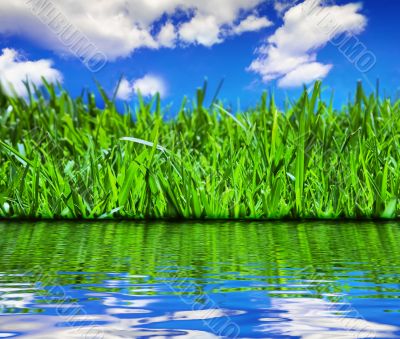 Summer reflections - horizontal
