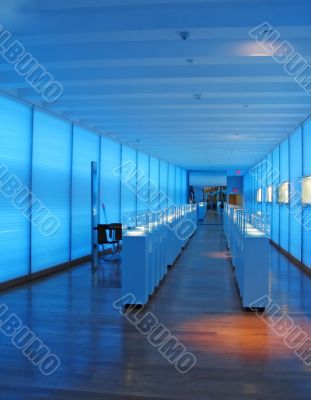 The gallery