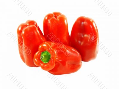 Red sweet pepper