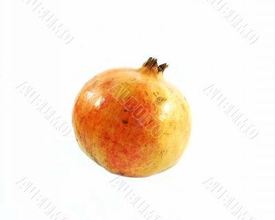 fruit .  pomegranate