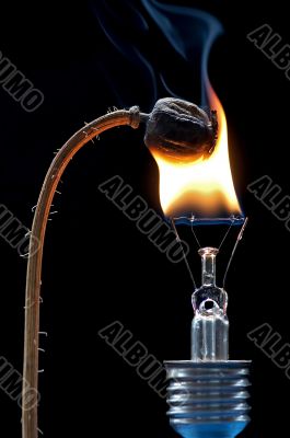 burning poppyhead
