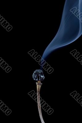 burn out poppyhead