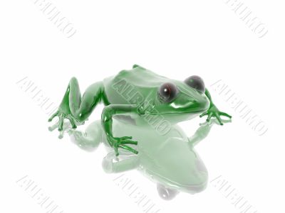frog