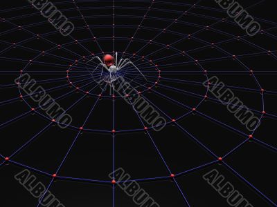 spider and web