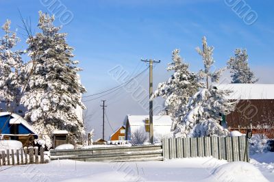 winter day