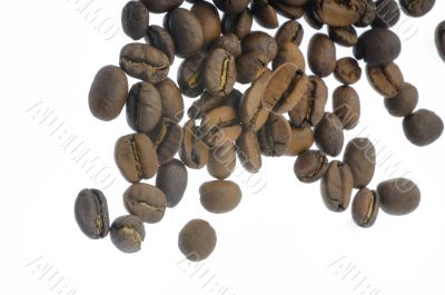 falling coffee beans