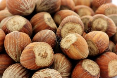 Hazelnuts