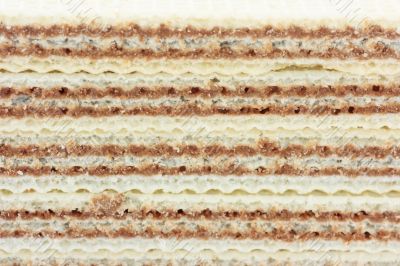 Wafer background