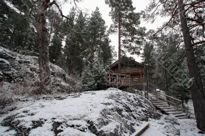 wooden cottage in the forest