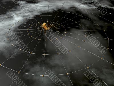 spider and web