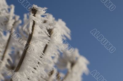 Ice in nature