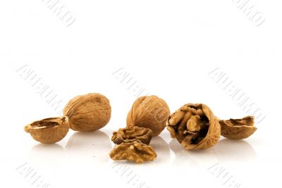 walnuts