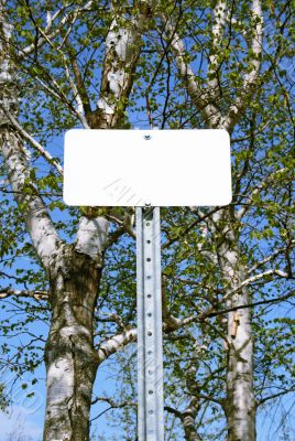 Sign with copy space in spring forest
