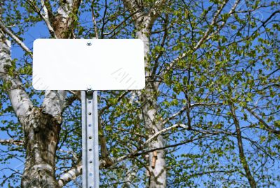 Blank sign in spring forest