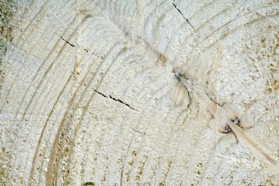 aged circles on a wood