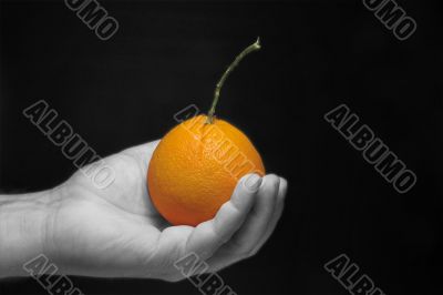 Holding an Orange